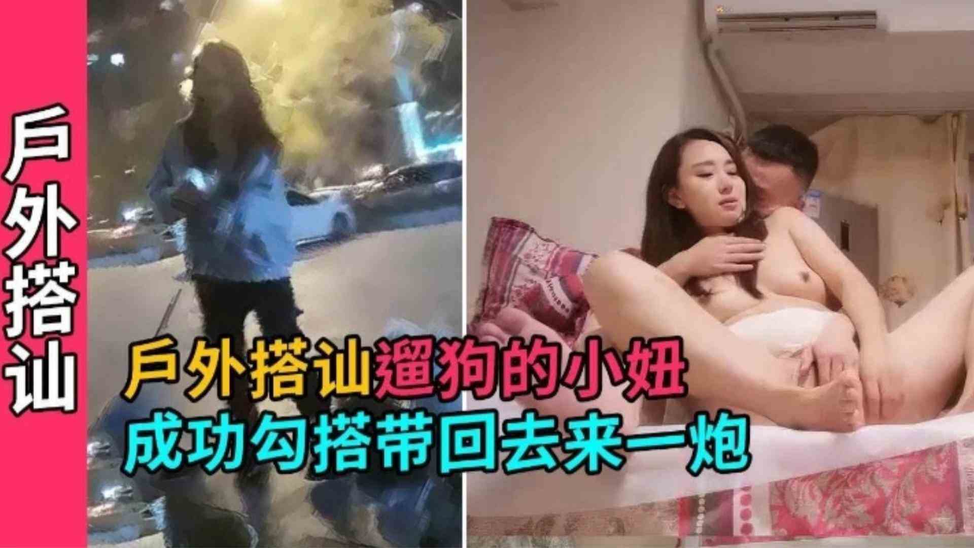 户外遛狗成功搭讪贵妇气质小妞，聊嗨了带回去打炮爽一下，两只狗狗一旁观战！-精品力荐